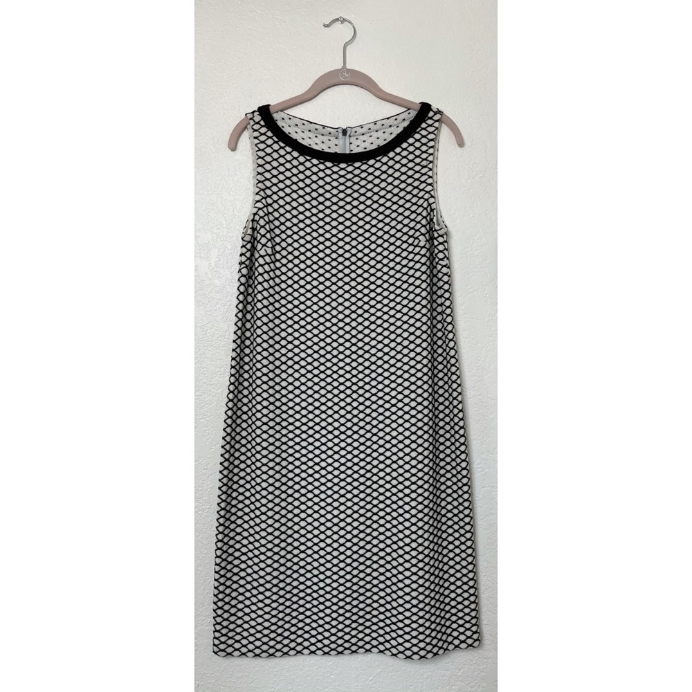 St. John Brown and White Dress